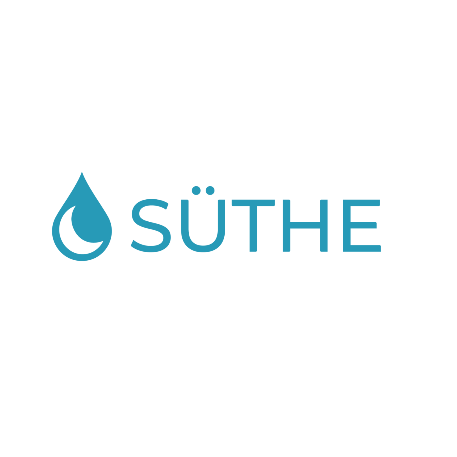 Suthe Logo New D KsbHW7