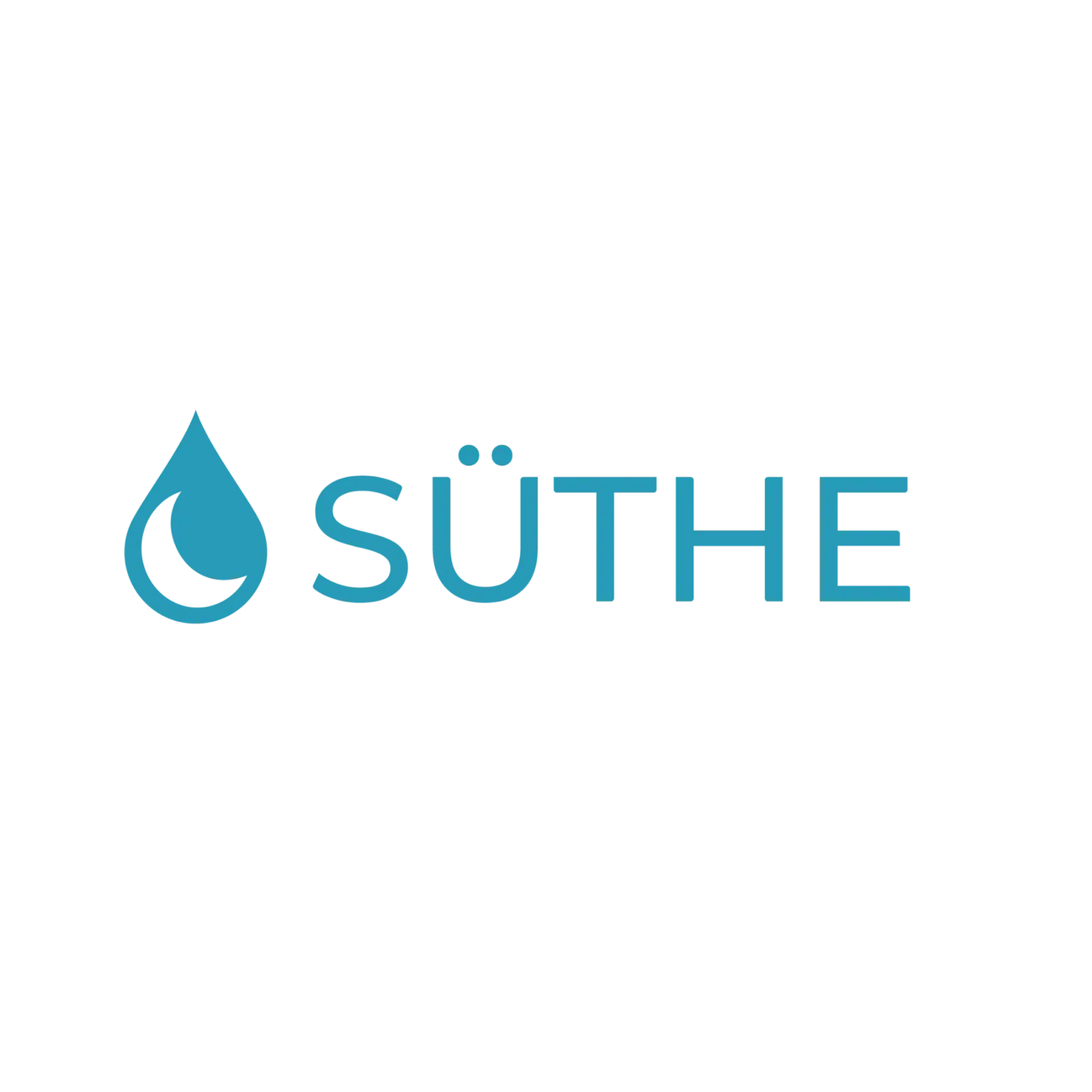 Suthe Logo New D KsbHW7