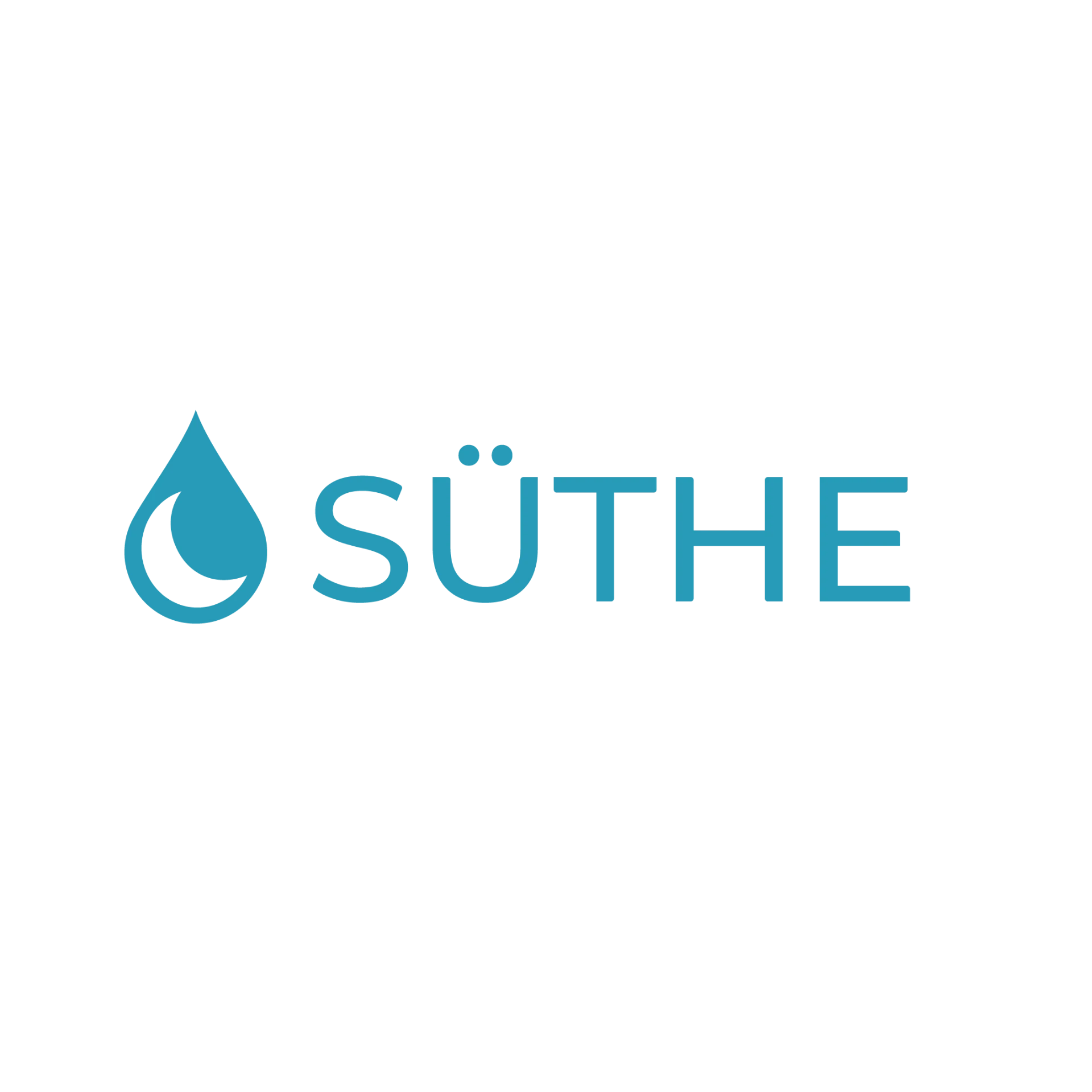 Suthe Logo New D KsbHW7